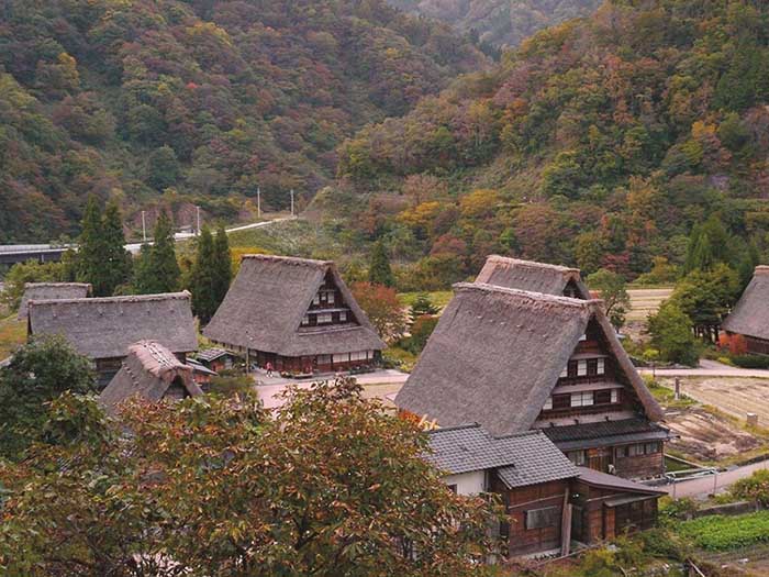 エッセイスト・酒井順子さんおすすめ！　 乗り物でまわるおとなの富山2泊3日旅　[おとなスタイル]