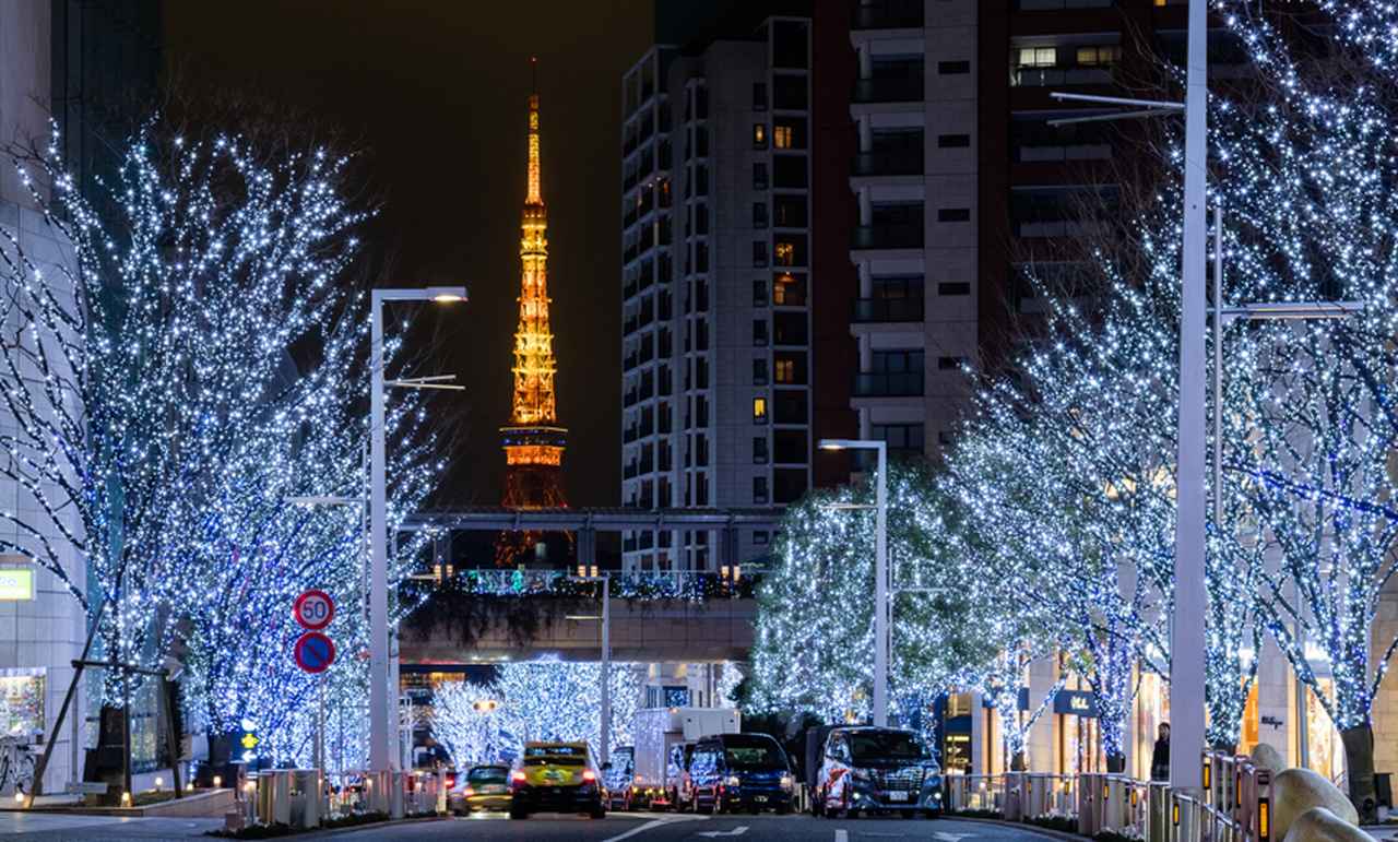 東京タワーとのコントラストが美しい
