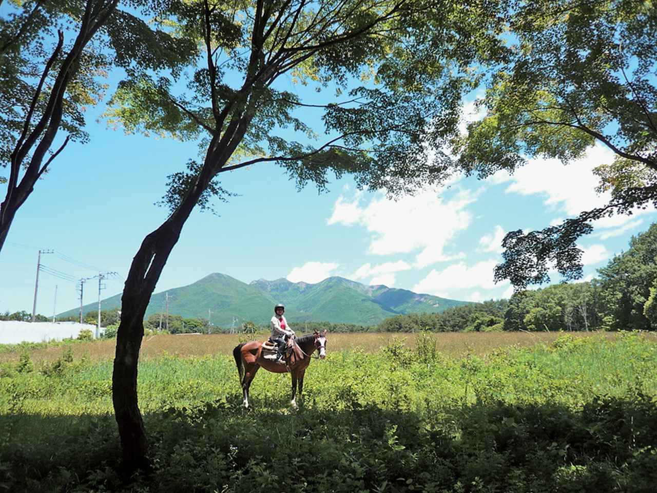 馬と心を通わせて進む山道は爽快！ ＜ホーストレッキングで遊ぶ＞