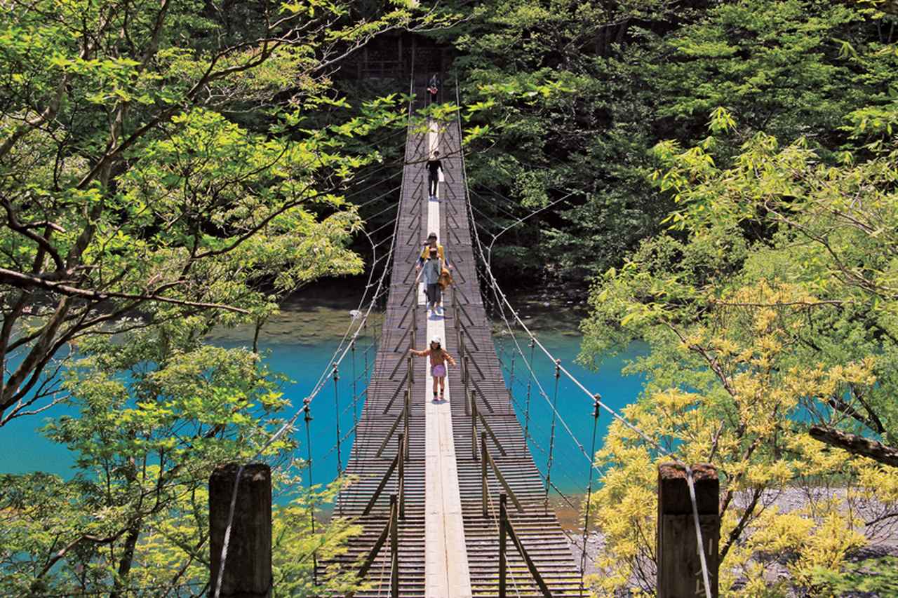 山遊びでスリルを楽しむといえば！ ＜吊り橋で遊ぶ＞