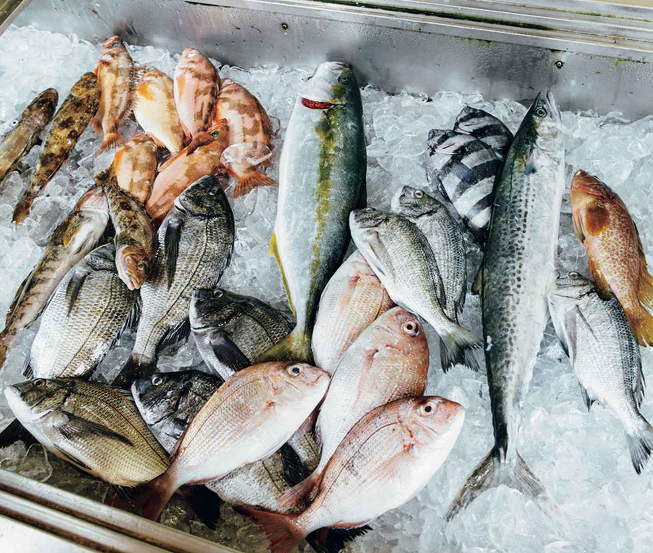 食材求めてあちこちお散歩！ 夏氷見のおいしいを収穫