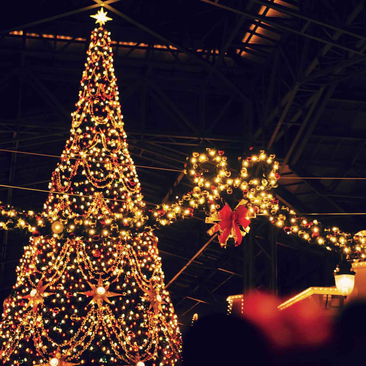 東京ディズニーランドのクリスマスツリー