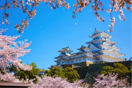 桜の季節に行きたい！日本の名城ランキング [mi-mollet]