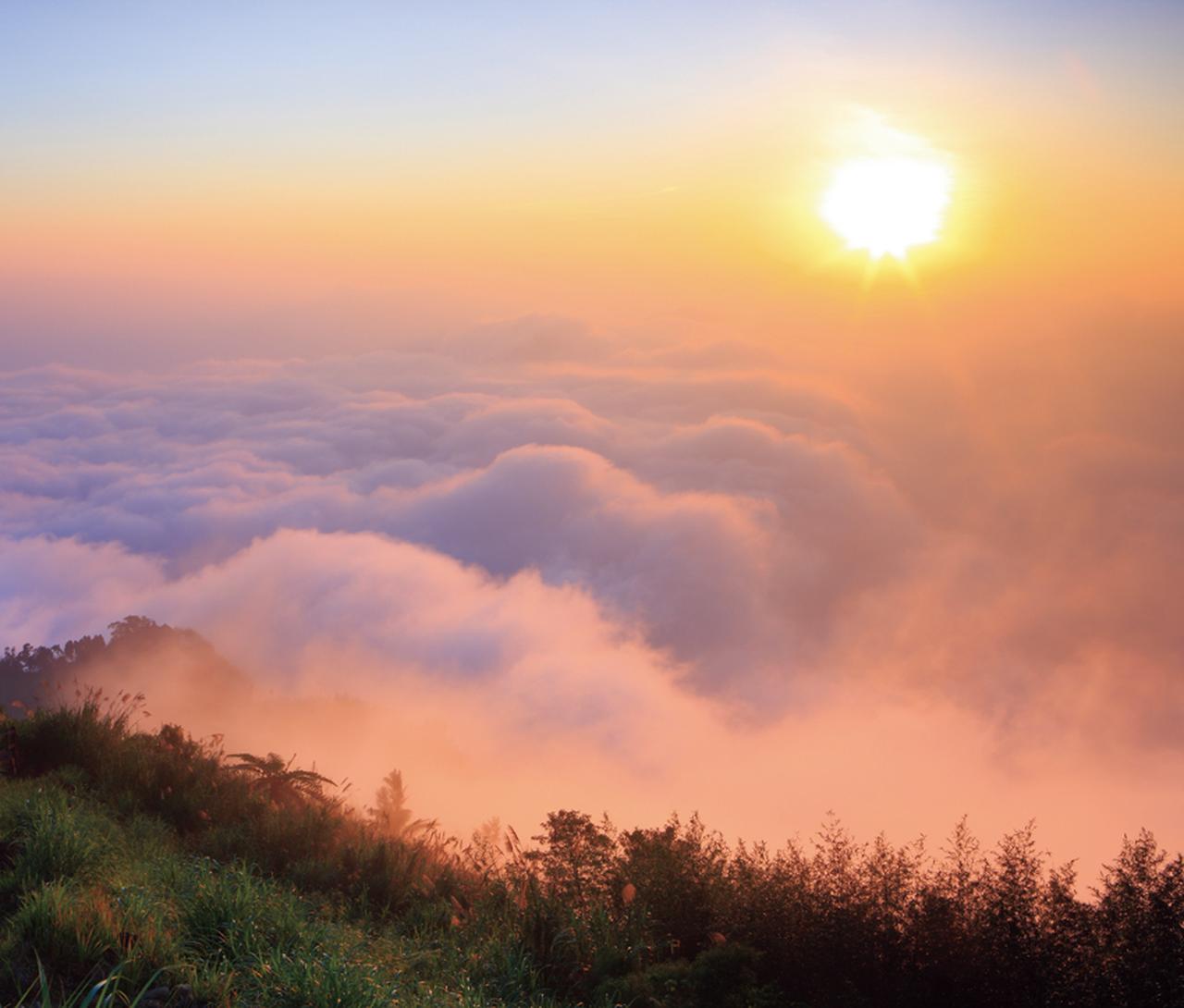 すべてを浄化してくれそうな美しい雲海を見に行こう。南台湾・阿里山