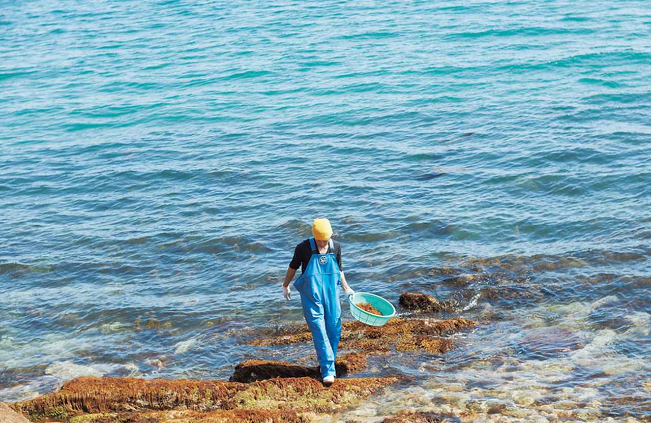 流れる海と島の景色船だけで完結する旅。