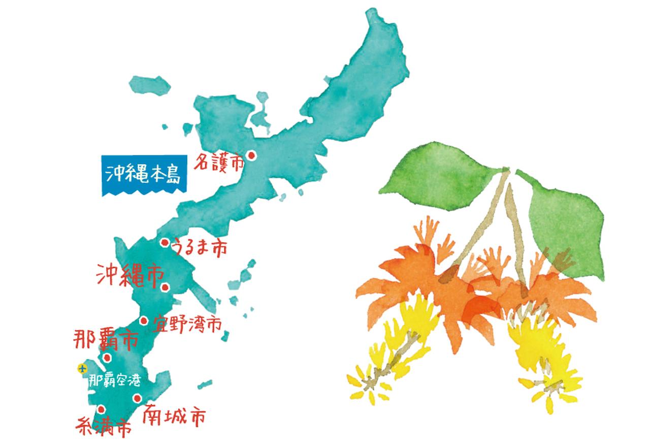 知っておきたい沖縄のいろは。沖縄のシンボル