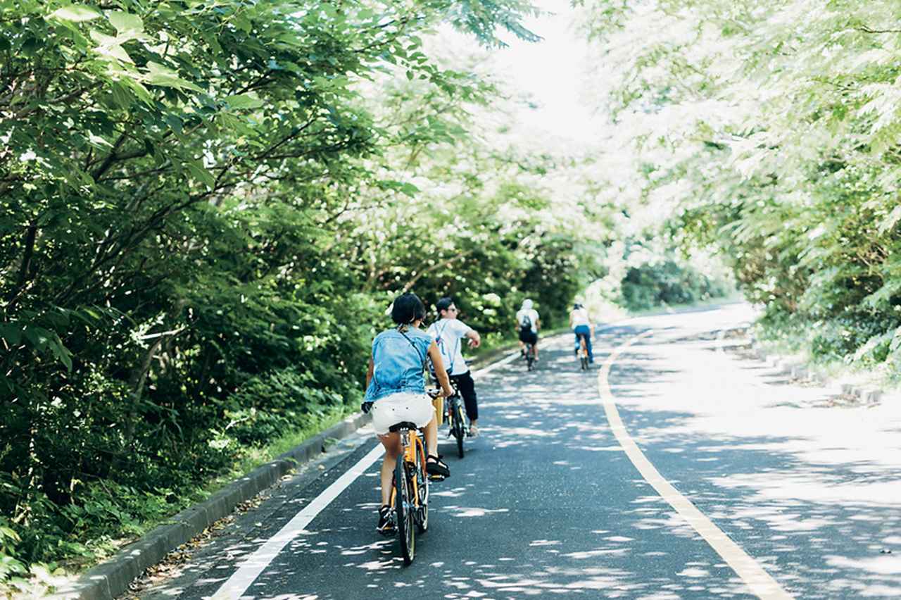 島の風が気持ちいい！ 楽チンな電動自転車【レンタサイクル】