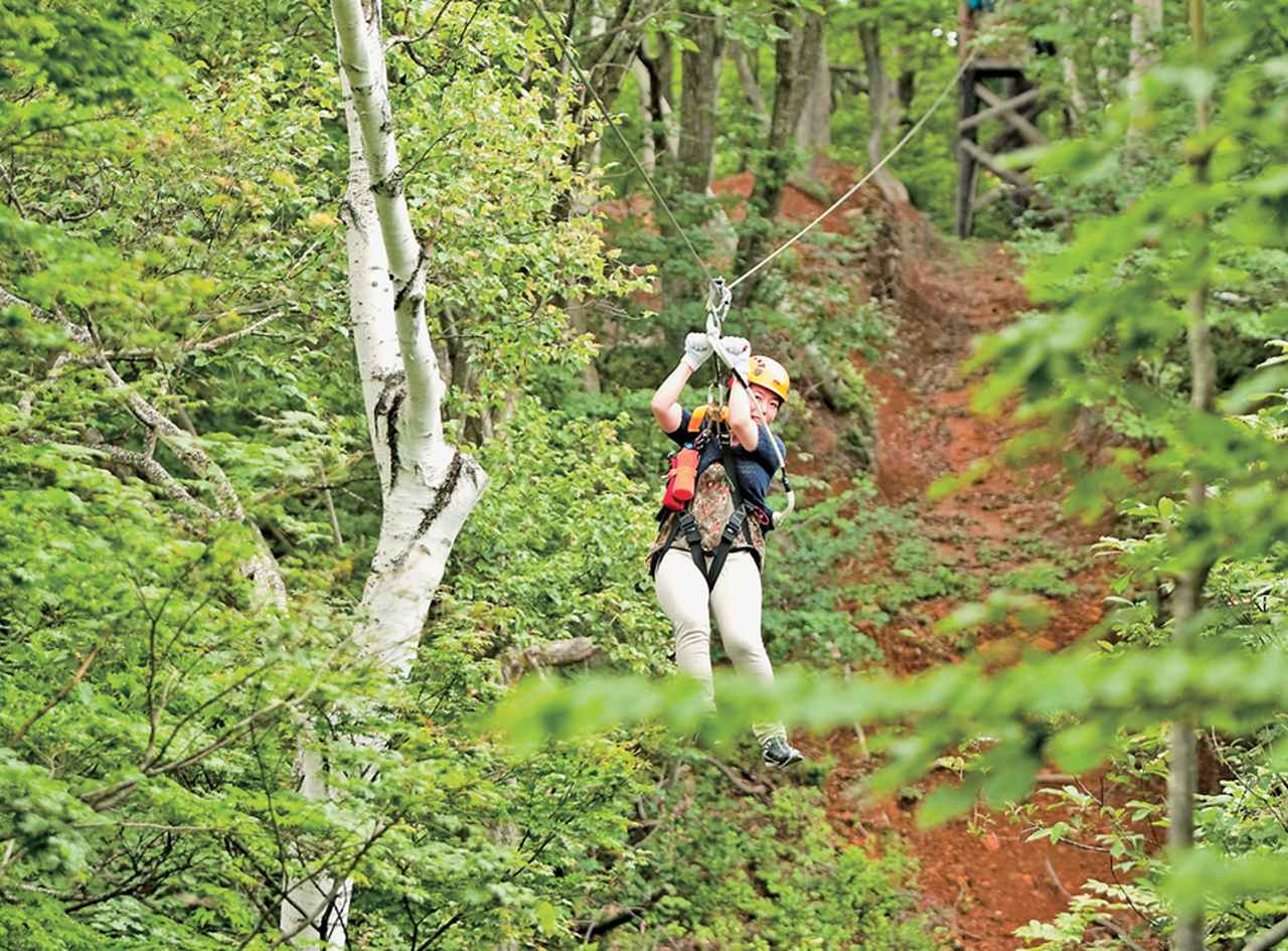 世界中で大ブレイク中の山遊び ４：ジップラインで遊ぶ