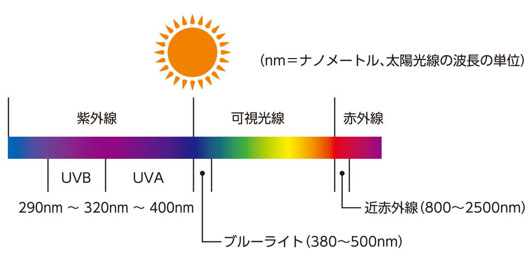 紫外線カットだけでは逃れられない、光老化の恐怖！